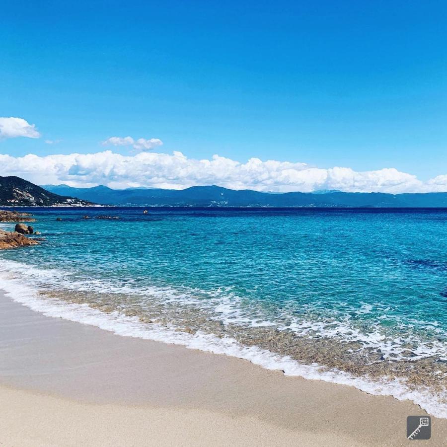Evasion Corse - T2 Vue Mer, Piscine & Plage Ajaccio  Exterior photo