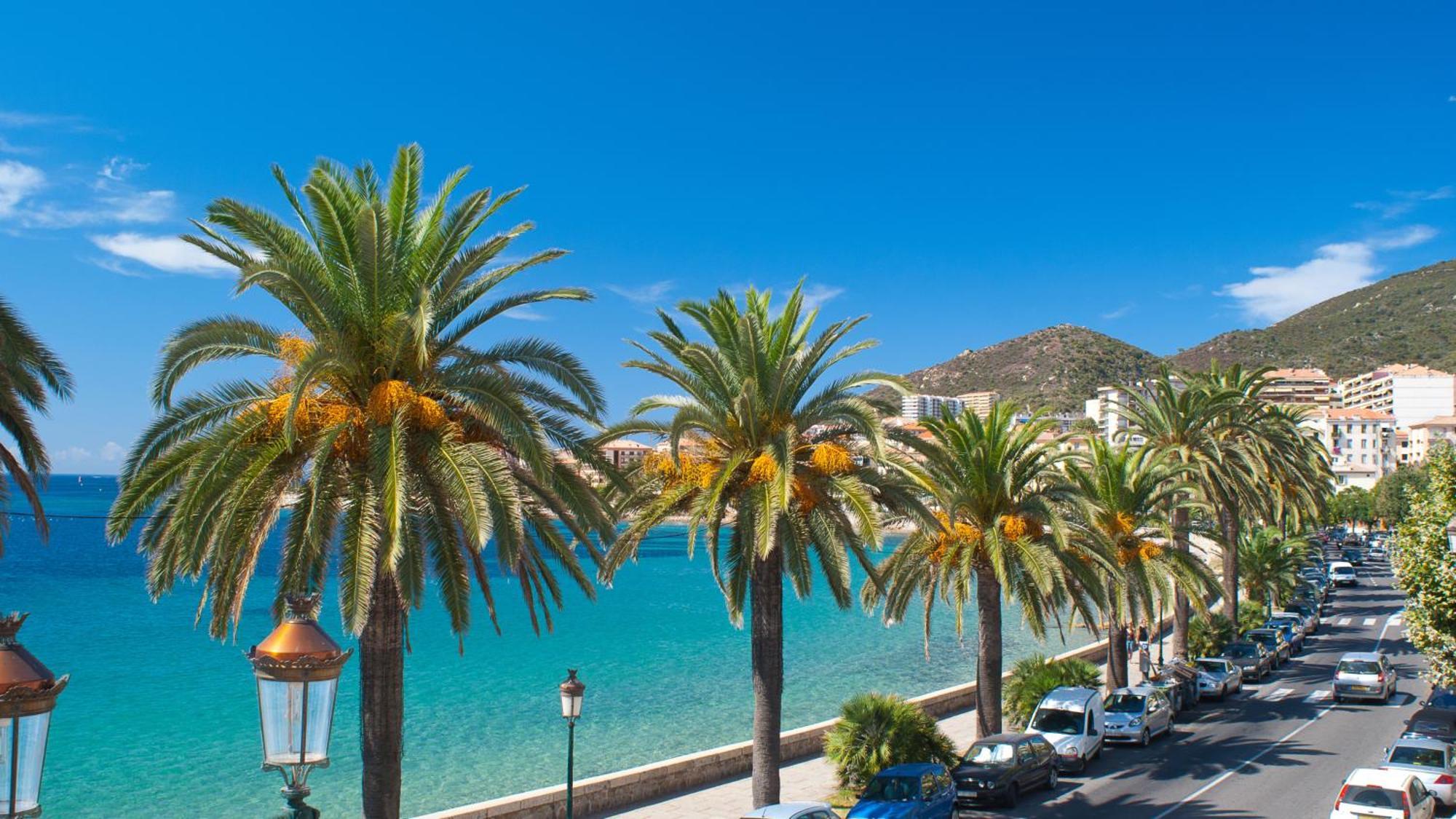 Evasion Corse - T2 Vue Mer, Piscine & Plage Ajaccio  Exterior photo