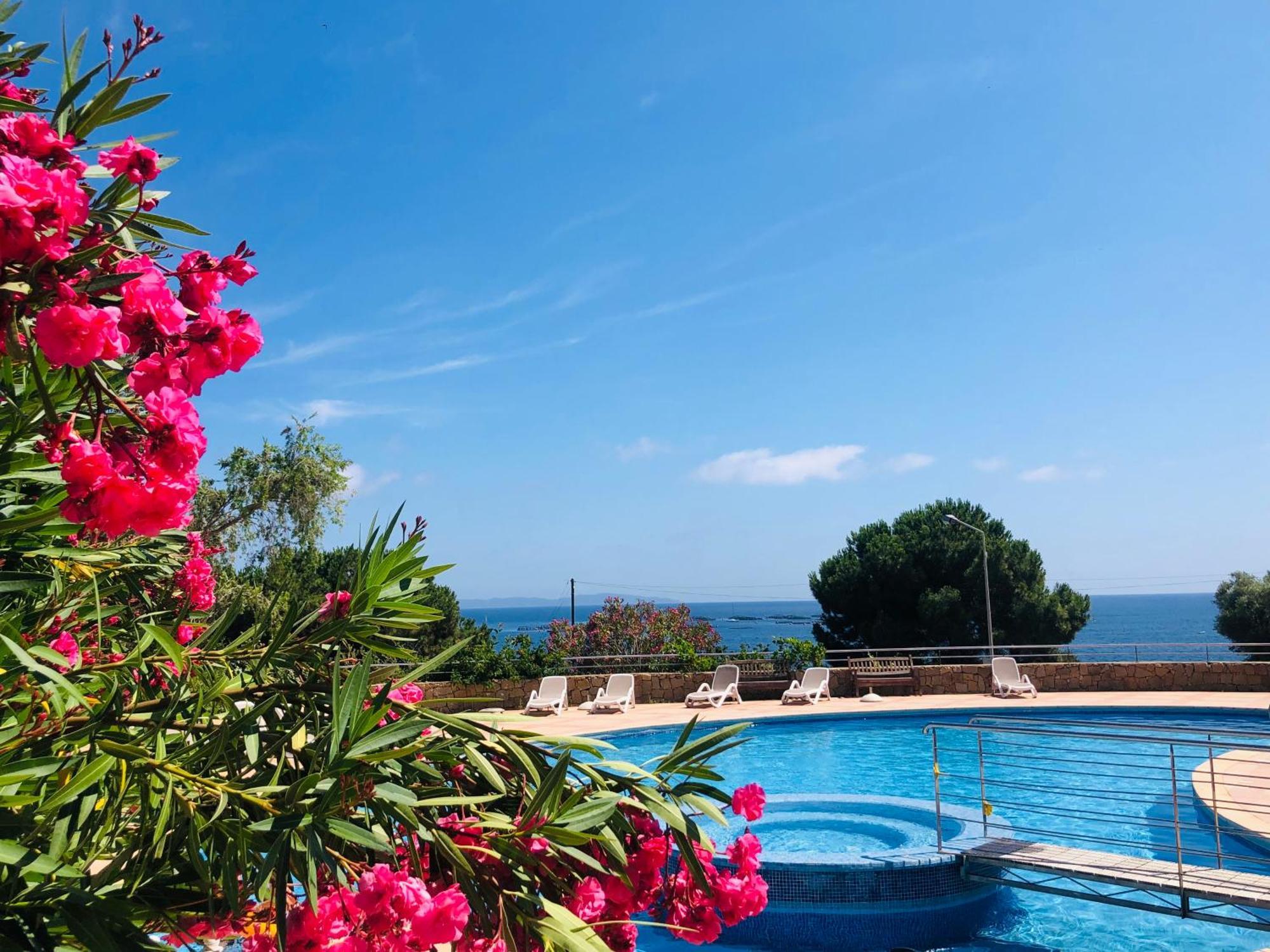 Evasion Corse - T2 Vue Mer, Piscine & Plage Ajaccio  Exterior photo