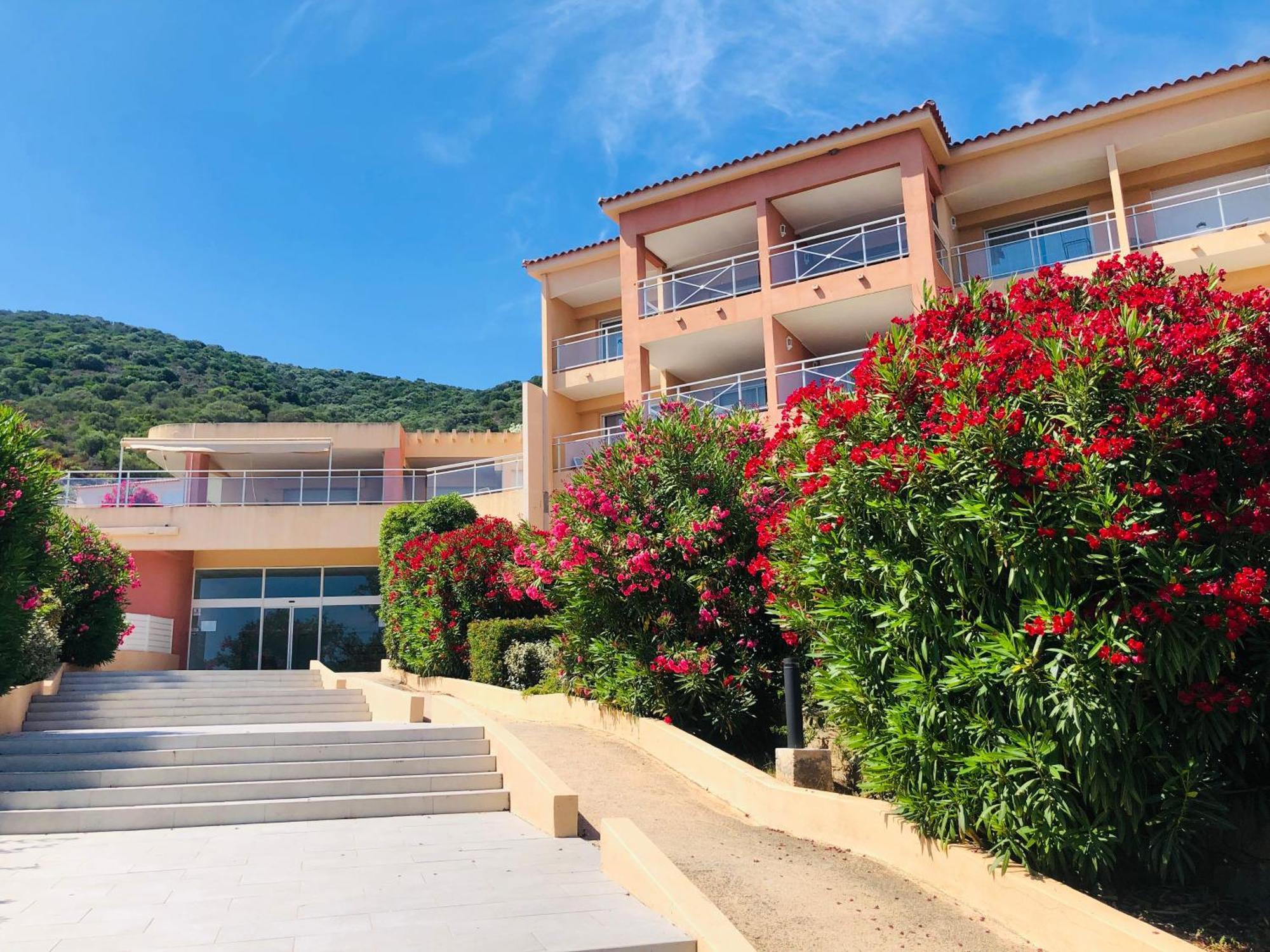 Evasion Corse - T2 Vue Mer, Piscine & Plage Ajaccio  Exterior photo